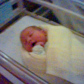 Finn Marks