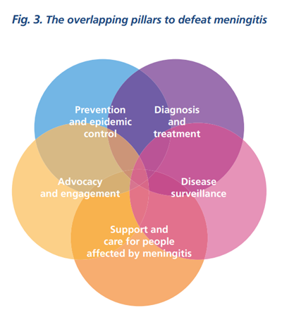 The 5 Pillars to Defeat Meningitis