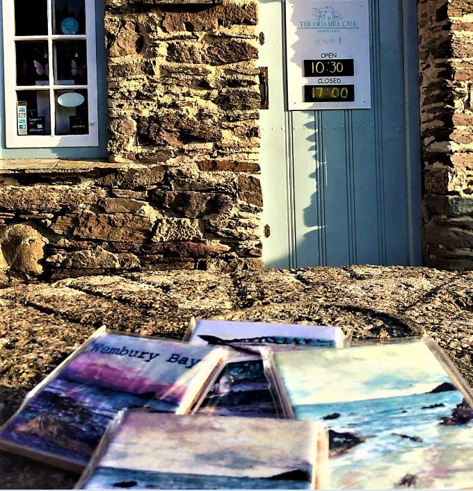 Young Devon artist raising funds