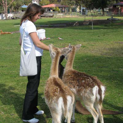 Karen French