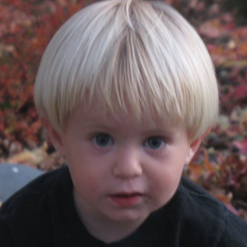Dylan McNeil