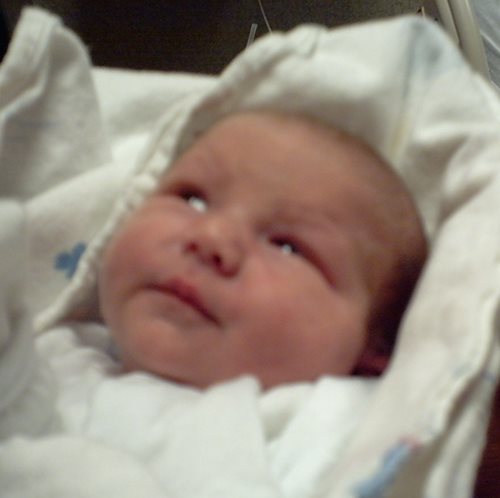 Zane Steven Gibson