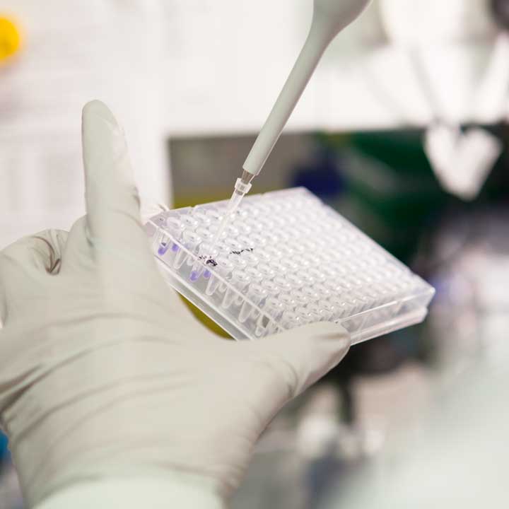 WHO lists the meningitis causing bacteria that are becoming resistant to antibiotics