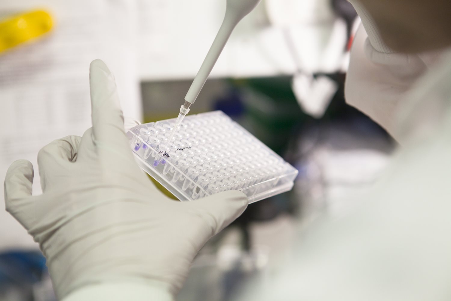 Celebrating a decade of genetic discoveries for meningitis: the MRF-Meningococcal Genome Library