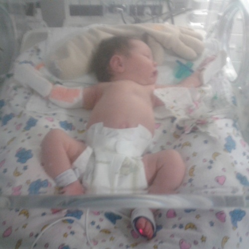 A photograph of baby Daisy in the hospital
