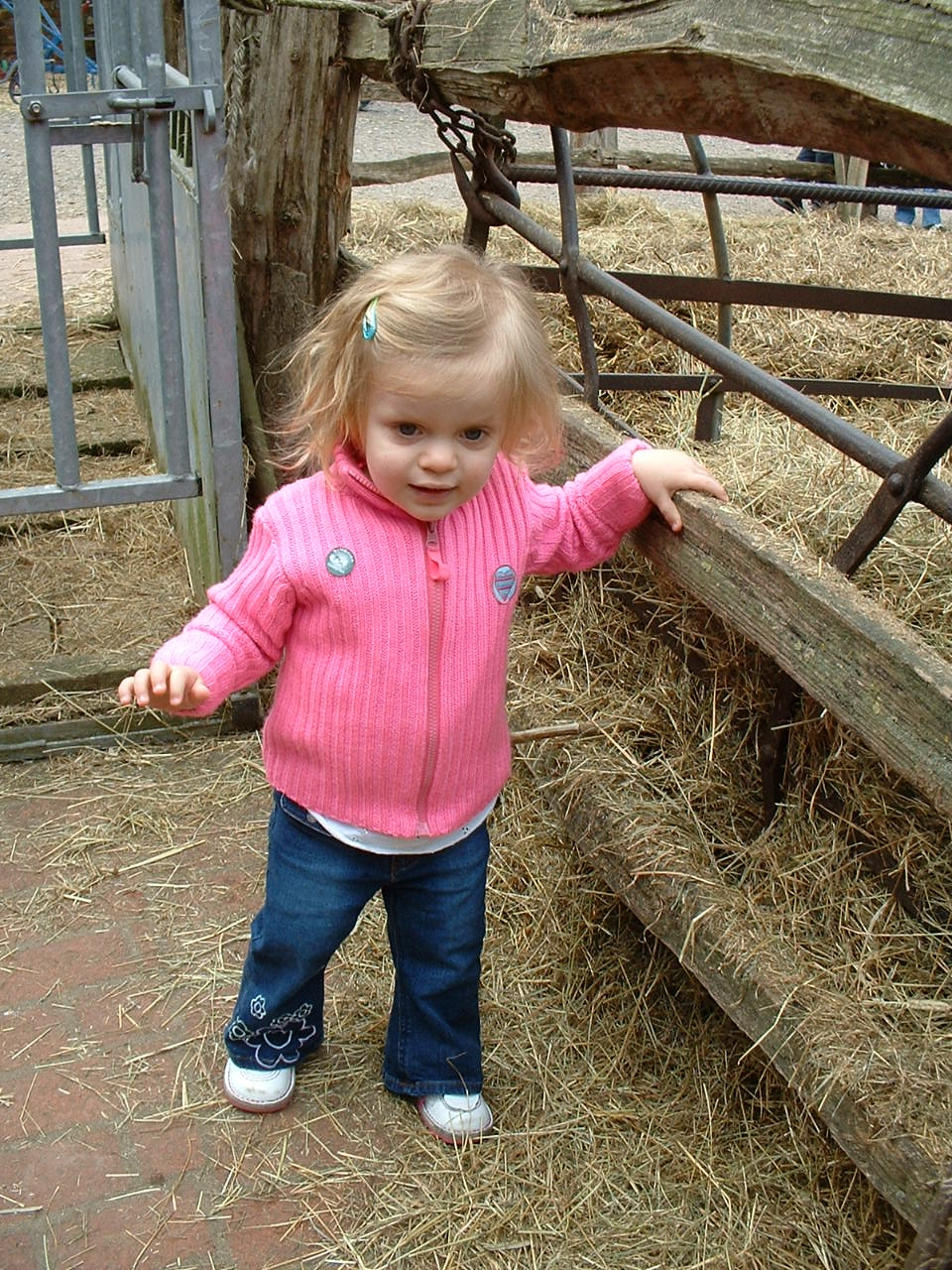 A picture of Freya at a farm with fencing and hay in the background