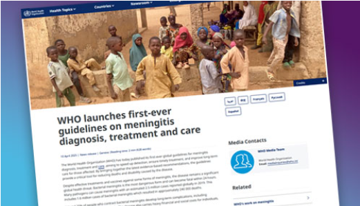 Preview of a document titled 