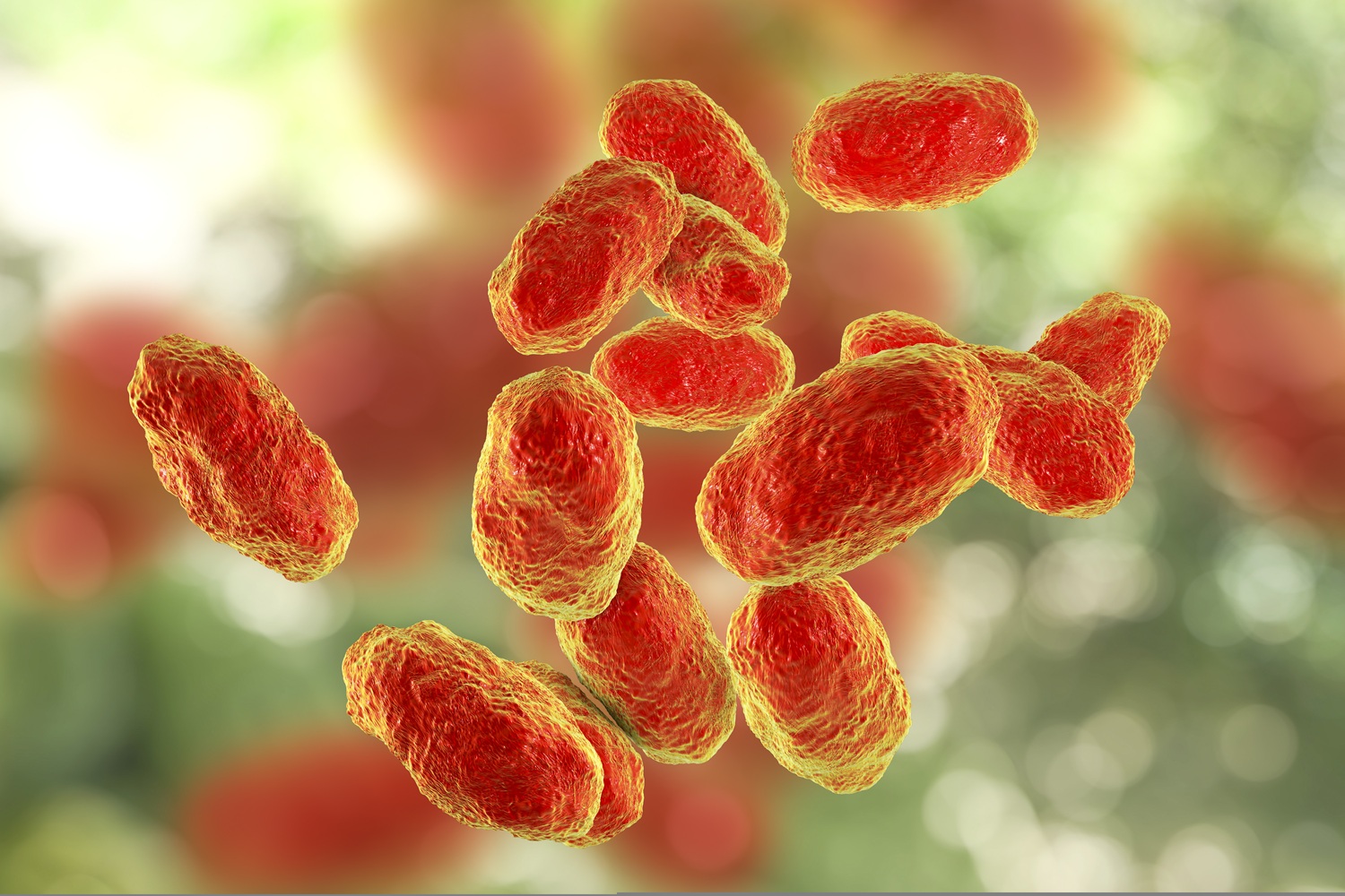 A medical illustration of haemophilus influenzae bacteria.