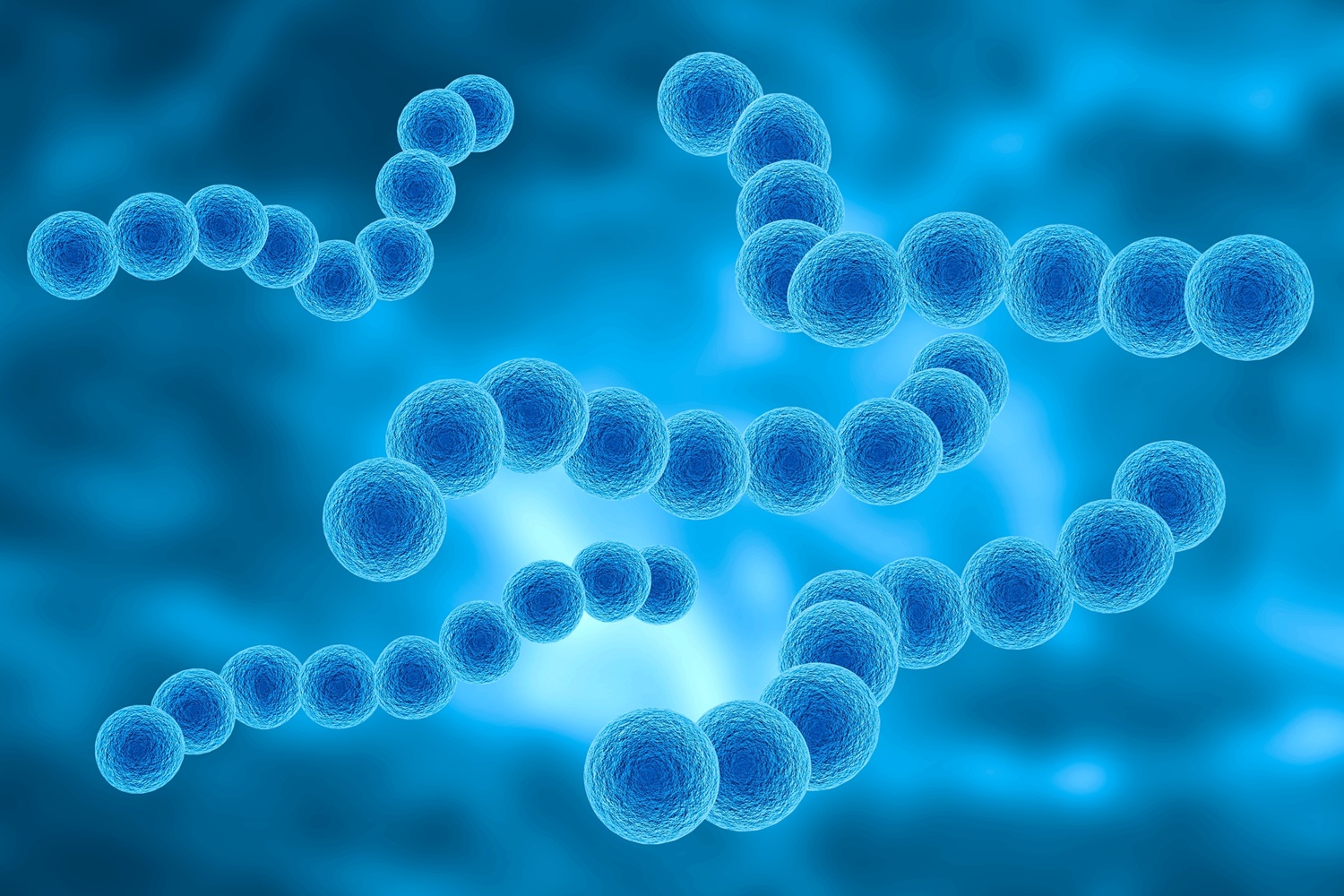 A medical illustration of streptococcus pyogenes bacteria.