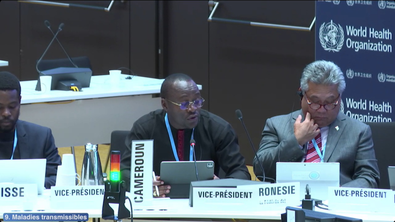 Screenshot from recording of 156th session of the World Health Organization's Executive Board.